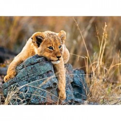 RAVENSBURGER Puzzle 200 p XXL Le petit lionceau 129461