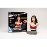 HAPPY WELL 3D puzzle Justice League: Héros Wonder woman