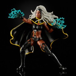 Hasbro Marvel Legends X-Men Edition Collector 2 Figurines 15 cm Storm et Marvel'